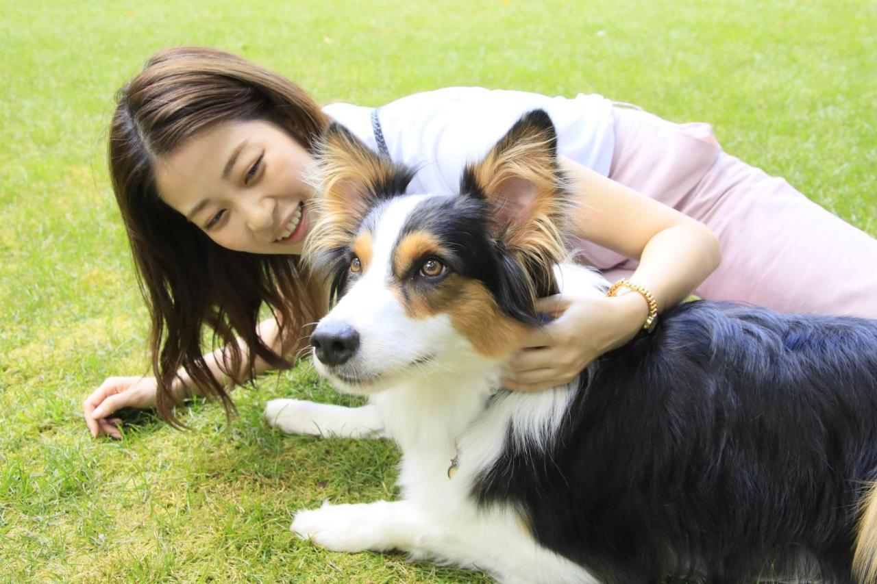 Yutorelo Tateshina Hotel With Dogs Chino Dış mekan fotoğraf